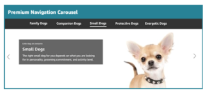 Enhance-Your-Amazon-Listings-with-the-Newly-Redesigned-Premium-Navigation-Carousel