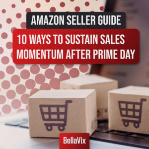 Amazon Seller Guide: 10 Ways to Sustain Sales Momentum After Prime Day