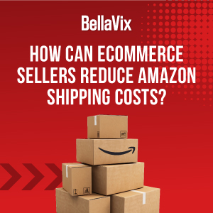 Optimize Amazon Shipping Cost for Profitability