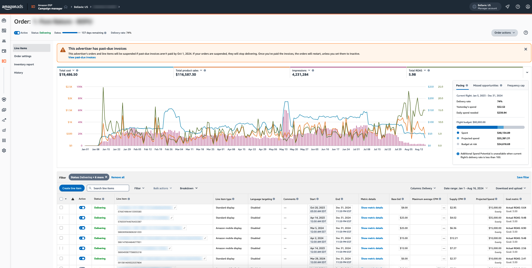 Amazon DSP Example BellaVix Marketing Services