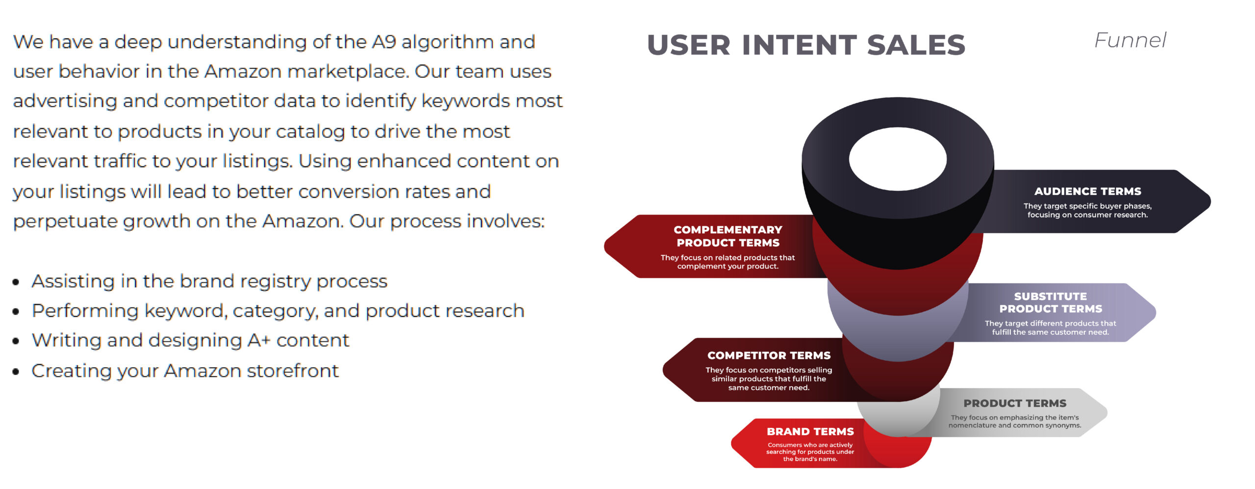 Amazon SEO and Content Optimization Funnel - BellaVix