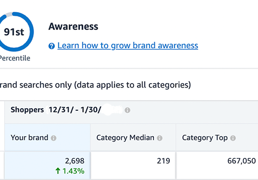 Brand Awareness Increase BellaVix case study