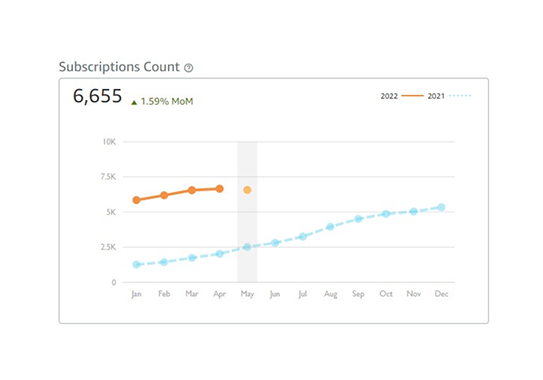 Subscription Count Case Study bellavix